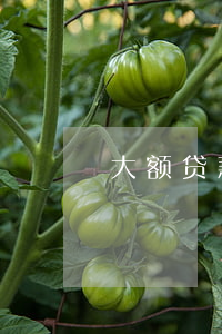 大额贷款还款日逾期3天(贷款逾期两天)
