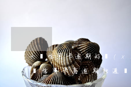 大鵝信用卡逾期好協(xié)商嗎(小鵝花錢信用卡有逾期能通過不)
