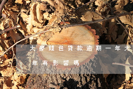 大麥錢包貸款逾期一年(大麥錢包貸款逾期一年有影響嗎)