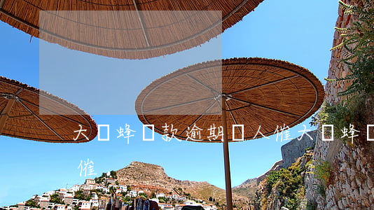 大黃蜂貸款逾期沒人催(大黃蜂貸款逾期沒人催)