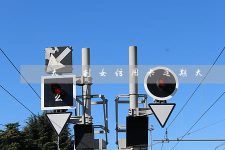 大齡剩女信用卡逾期(大齡剩女信用卡逾期怎么辦)