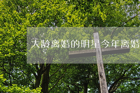 大龄离婚的明星(今年离婚的明星)