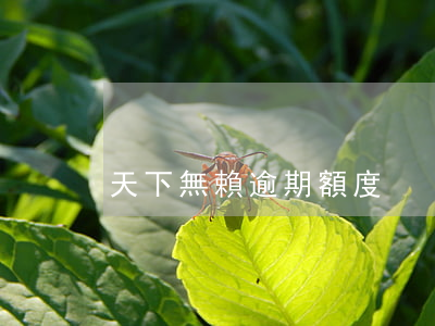 天下無賴逾期額度