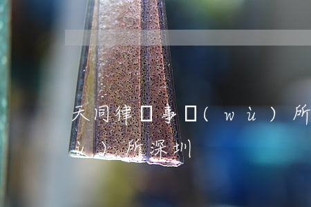 天同律師事務(wù)所(天同律師事務(wù)所深圳)
