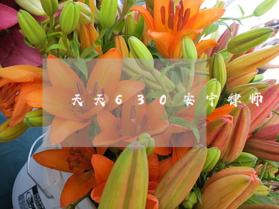 天天630安宁律师