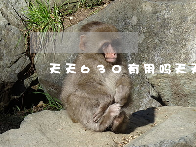 天天630有用吗(天天630有用吗)