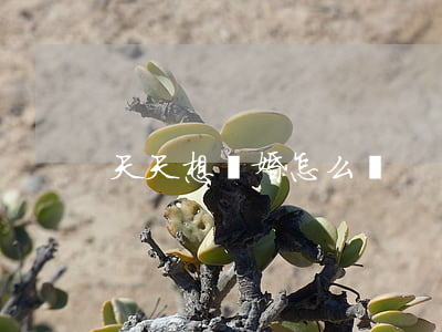 天天想離婚怎么辦