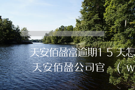 天安佰盈富逾期15天怎么保護(hù)-天安佰盈公司官網(wǎng)