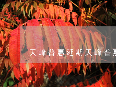 天峰普惠延期（天峰普惠逾期總部）