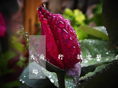 天府銀行貸款逾期兩天（天府銀行逾期多久會起訴）