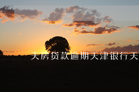 天房贷款逾期天津银行(天津银行天天贷)