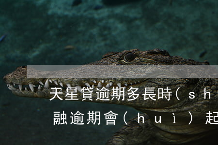 天星貸逾期多長時(shí)間起訴 天星金融逾期會(huì)起訴嗎