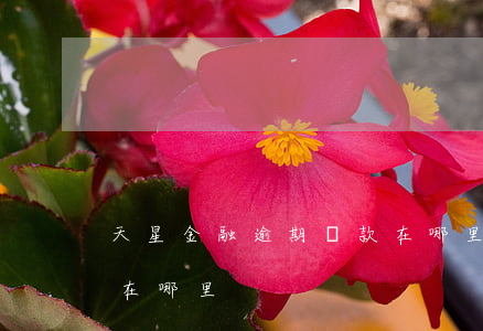 天星金融逾期還款在哪里(天星金融逾期還款在哪里)