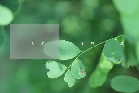 天水駕駛證逾期沒審名單