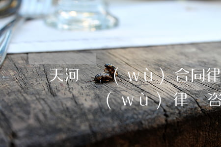 天河債務(wù)合同律師面談預(yù)約 債務(wù)律師咨詢費用收取標(biāo)準(zhǔn)