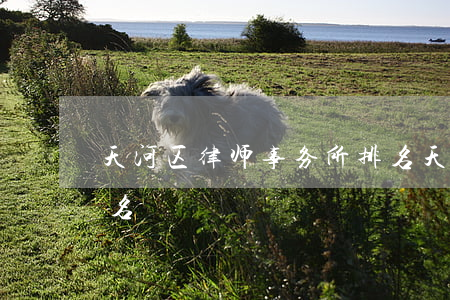 天河区律师事务所排名(天门市律师事务所排名)