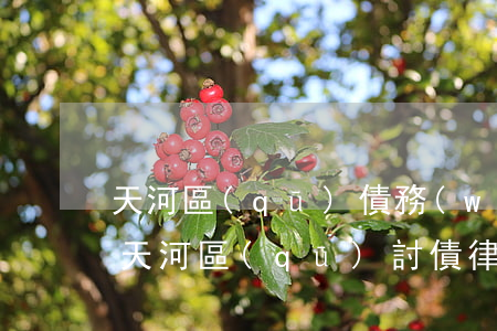 天河區(qū)債務(wù)糾紛律師(廣州天河區(qū)討債律師收費(fèi))