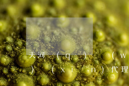 天河區(qū)債務(wù)風(fēng)險(xiǎn)代理律師電話(huà)咨詢(xún)
