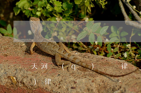 天河區(qū)債務律師(廣州天河區(qū)律師電話)