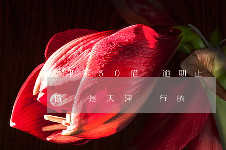 天津360借條逾期正確處理方案-360借條是天津銀行的嗎