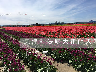 天津6法眼大律師(天津市法眼大律師所有律師名字)