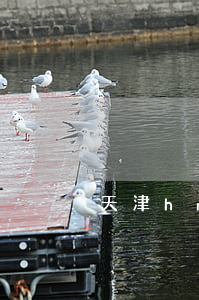 天津hm兼職(hm學生兼職怎么樣)