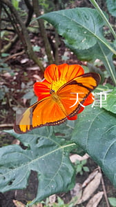 天津二手房交易費用