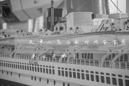 天津人怎么面对网贷信用卡逾期-天津网贷平台有哪些