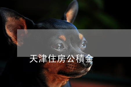 天津住房公積金