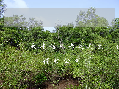 天津信用卡逾期上門催收 天津信用卡逾期上門催收公司