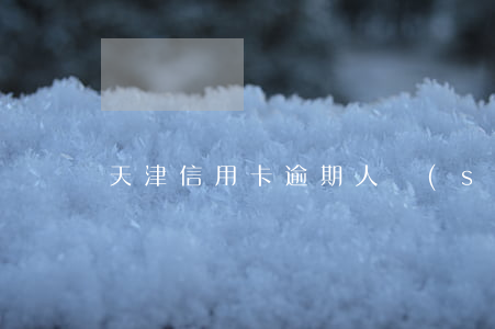 天津信用卡逾期人數(shù)