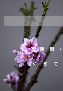 天津個(gè)人信用卡逾期修復(fù)公司(天津個(gè)人信用卡逾期修復(fù)公司有哪些)