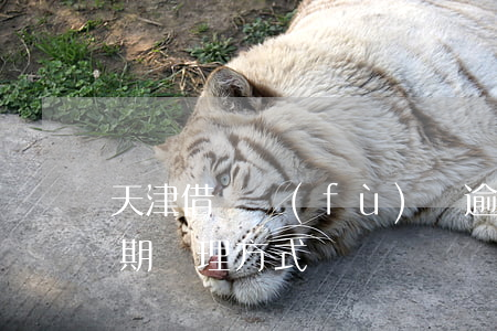 天津借唄負(fù)債逾期還款方法(借唄逾期處理方式)