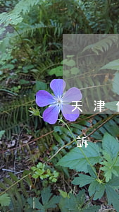 天津借錢不還怎樣起訴（天津借錢不還怎樣起訴）