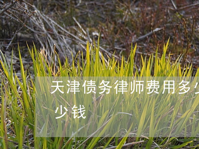 天津债务律师费用多少(天津债务律师费用多少钱)