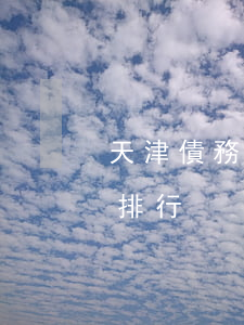 天津債務糾紛律師資質(天津債務律師事務所排行)