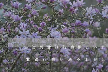 天津兴业银行逾期还不上会起诉吗-天津兴业银行逾期还不上会起诉吗知乎