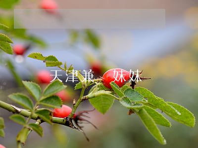 天津兼職妹妹