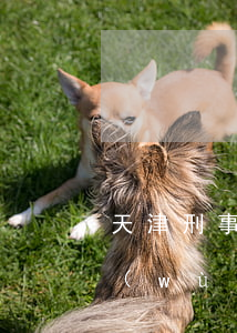 天津刑事案件律師排名宿(天津十佳律師事務(wù)所刑事律師)
