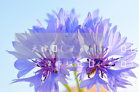 天津動(dòng)遷補(bǔ)償多少錢(天津市征地補(bǔ)償價(jià)格表)