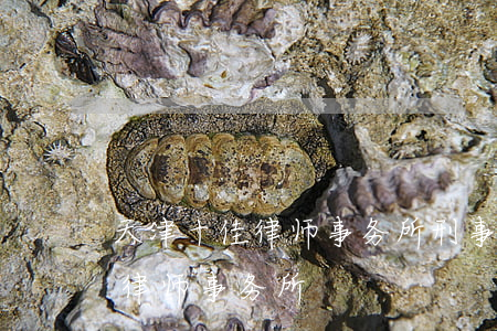 天津十佳律师事务所刑事律师(天津最有名的律师事务所)