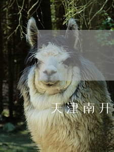天津南开债务纠纷律师(天津南开律师电话)