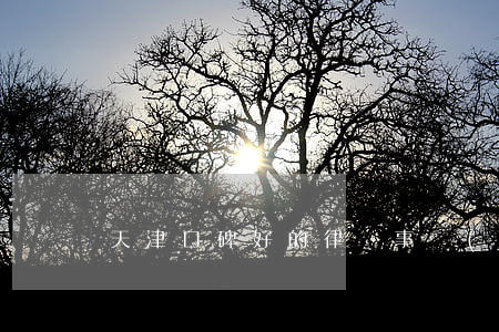 天津口碑好的律師事務(wù)所