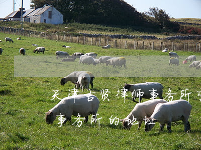 天津吉贤律师事务所李其风(天津尹劲松律师事务所的地址)