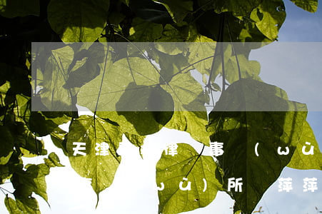 天津君耀律師事務(wù)所(天津君耀律師事務(wù)所馬萍萍律師)