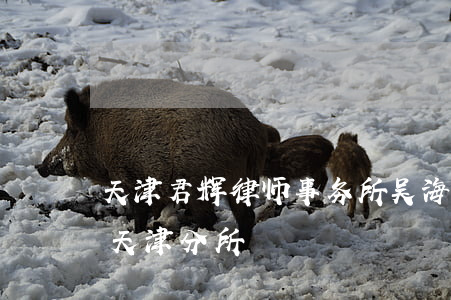 天津君辉律师事务所吴海成(君合律师事务所天津分所)