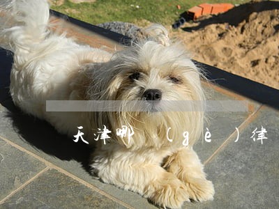 天津哪個(gè)律師事務(wù)所靠譜