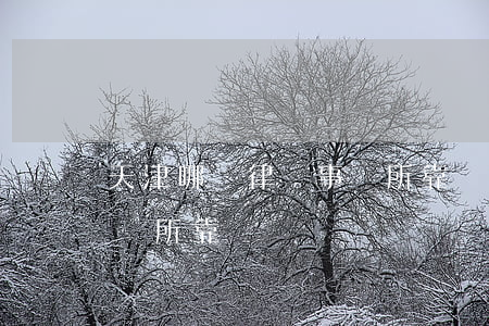 天津哪個律師事務所靠譜(天津有哪些律師事務所靠譜) 天津哪個律師事務所靠譜(天津有哪些律師事務所靠譜)