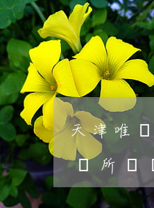 天津唯辯律師事務所怎么樣(天津坤威律師事務所評論)
