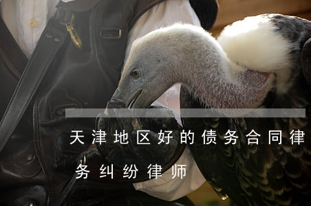 天津地区好的债务合同律师找谁好-天津债务纠纷律师